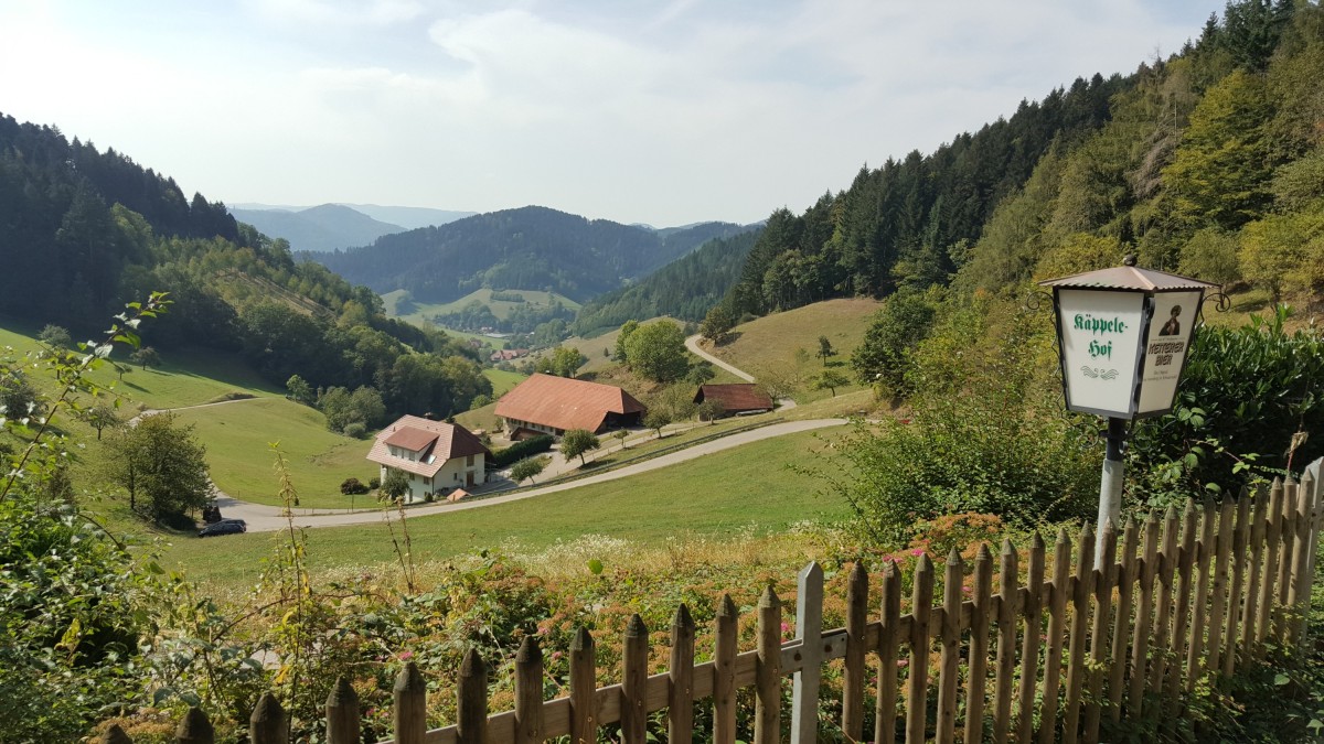 Schwarzwald Tour Hausach